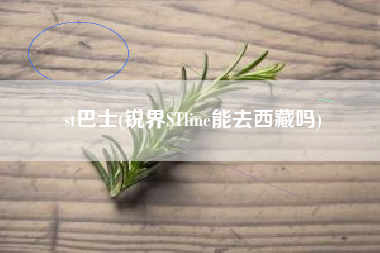 st巴士(锐界STline能去西藏吗)