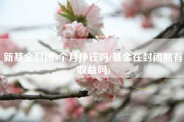 新基金封闭3个月挣钱吗(基金在封闭期有收益吗)