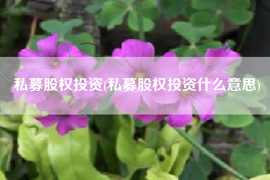 私募股权投资(私募股权投资什么意思)
