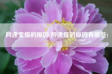 网速变慢的原因(网速慢的原因有哪些)
