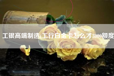 工银高端制造(工行白金卡怎么才3000额度)