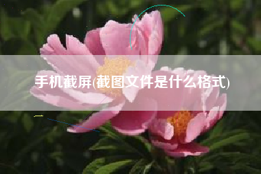 手机截屏(截图文件是什么格式)