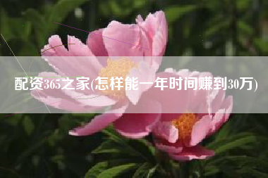 配资365之家(怎样能一年时间赚到30万)