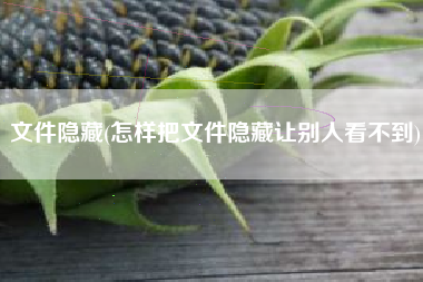 文件隐藏(怎样把文件隐藏让别人看不到)