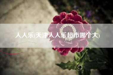 人人乐(天津人人乐超市哪个大)