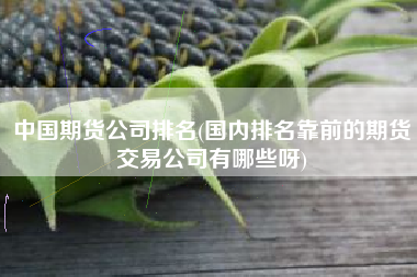 中国期货公司排名(国内排名靠前的期货交易公司有哪些呀)