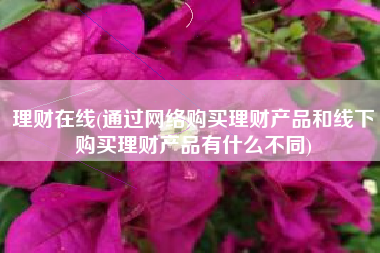 理财在线(通过网络购买理财产品和线下购买理财产品有什么不同)