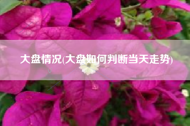 大盘情况(大盘如何判断当天走势)