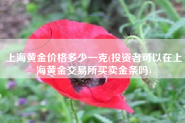 上海黄金价格多少一克(投资者可以在上海黄金交易所买卖金条吗)