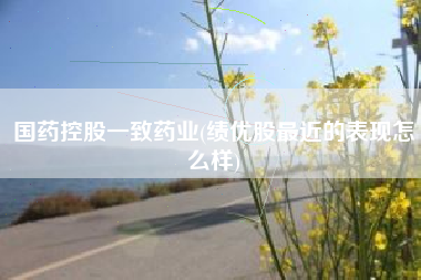 国药控股一致药业(绩优股最近的表现怎么样)