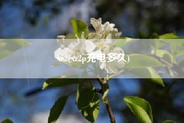 xz2(xz2p充电多久)