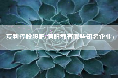 友利控股股吧(信阳都有哪些知名企业)