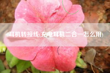 耳机转接线(充电耳机二合一怎么用)