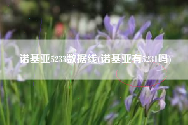 诺基亚5233数据线(诺基亚有5231吗)