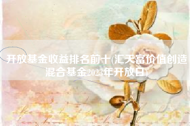 开放基金收益排名前十(汇天富价值创造混合基金2023年开放日)