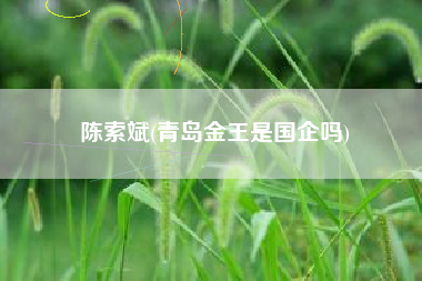 陈索斌(青岛金王是国企吗)