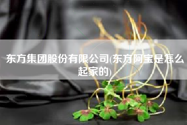 东方集团股份有限公司(东方阿宝是怎么起家的)