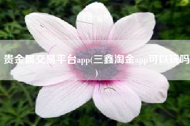 贵金属交易平台app(三鑫淘金app可以玩吗)