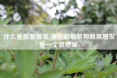 什么是股票增发(原始股解禁和股票增发是一个意思嘛)