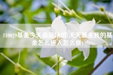 110029基金今天最新净值(天天基金我的基金怎么进入怎么查)