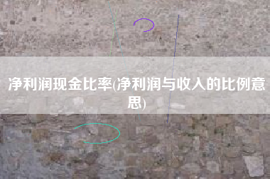 净利润现金比率(净利润与收入的比例意思)