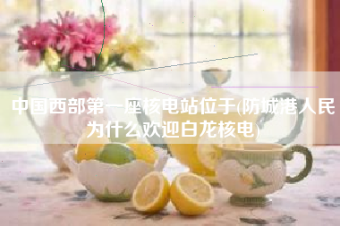 中国西部第一座核电站位于(防城港人民为什么欢迎白龙核电)