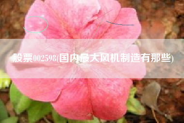 股票002598(国内最大风机制造有那些)