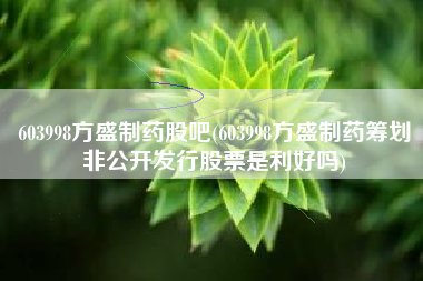 603998方盛制药股吧(603998方盛制药筹划非公开发行股票是利好吗)