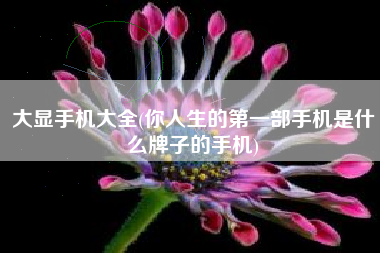 大显手机大全(你人生的第一部手机是什么牌子的手机)