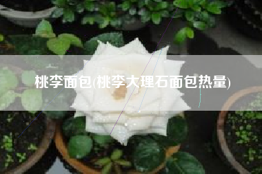 详细阅读:桃李面包(桃李大理石面包热量) 桃李面包(桃李大理石面包热量)