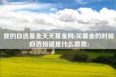 我的自选基金天天基金网(买基金的时候自选按键是什么意思)