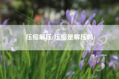 压缩解压(压缩是解压吗)