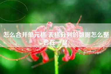 怎么合并单元格(表格分列的数据怎么整合在一起)