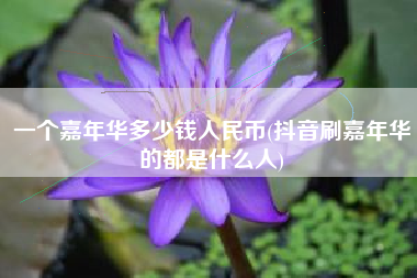 一个嘉年华多少钱人民币(抖音刷嘉年华的都是什么人)
