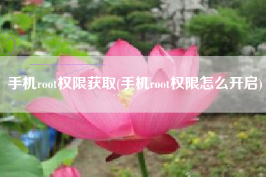 手机root权限获取(手机root权限怎么开启)