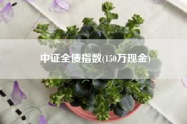 中证全债指数(150万现金)