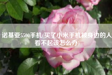 诺基亚5500手机(买了小米手机被身边的人看不起该怎么办)