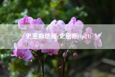 史密斯地暖(史密斯l1p24)