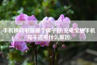 手机移动电源哪个牌子好(充电宝给手机充不进电什么原因)