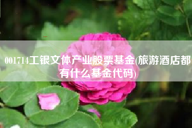 001714工银文体产业股票基金(旅游酒店都有什么基金代码)