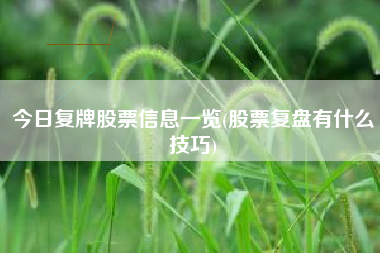 今日复牌股票信息一览(股票复盘有什么技巧)