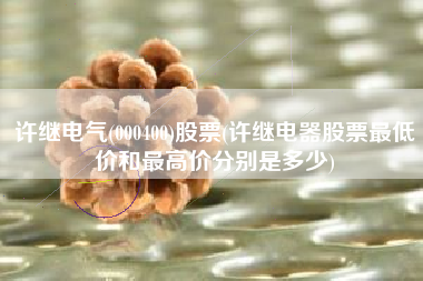 许继电气(000400)股票(许继电器股票最低价和最高价分别是多少)