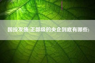 国投发债(正部级的央企到底有哪些)
