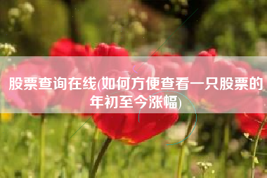 股票查询在线(如何方便查看一只股票的年初至今涨幅)