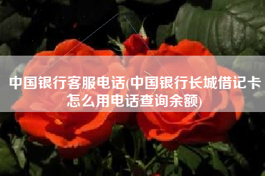 中国银行客服电话(中国银行长城借记卡怎么用电话查询余额)