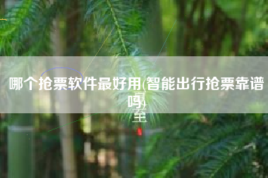 哪个抢票软件最好用(智能出行抢票靠谱吗)