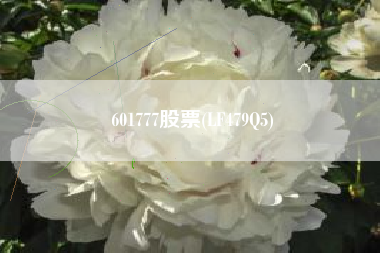 601777股票(LF479Q5)