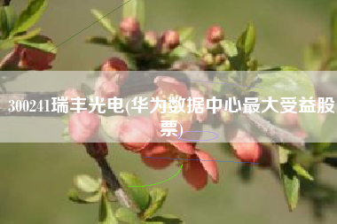 300241瑞丰光电(华为数据中心最大受益股票)