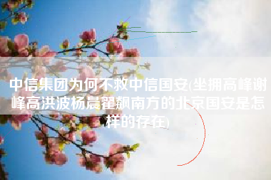 中信集团为何不救中信国安(坐拥高峰谢峰高洪波杨晨翟飙南方的北京国安是怎样的存在)