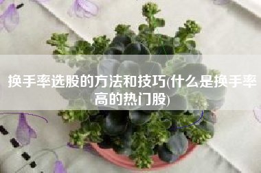 换手率选股的方法和技巧(什么是换手率高的热门股)